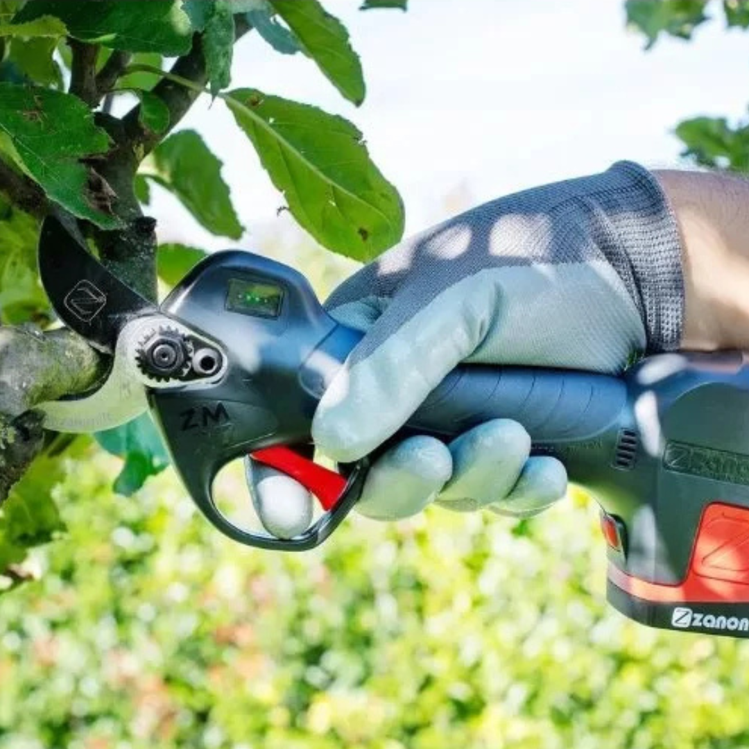 Forbici elettriche per potatura frutteto, vigneto e giardino