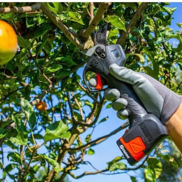 Forbice elettrica per potatura ZANON ZM-34 con  2 batterie 