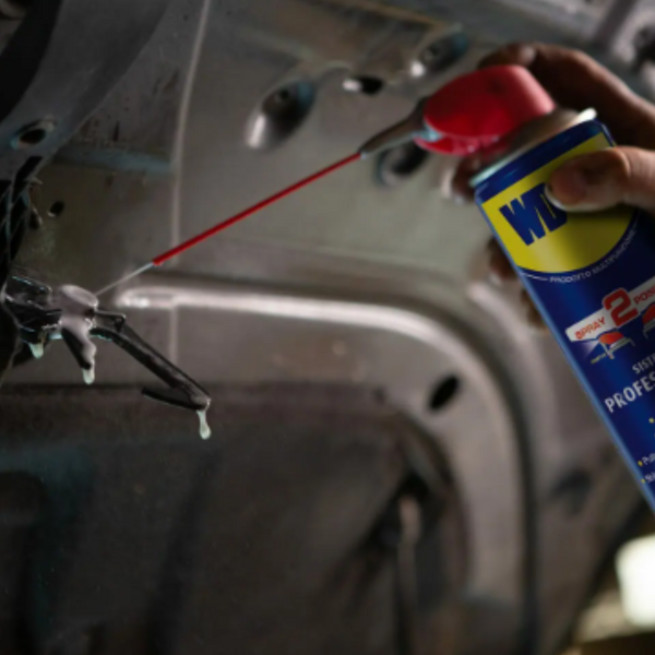 WD-40 MULTIFUNZIONE - MIN. 2 PEZZI