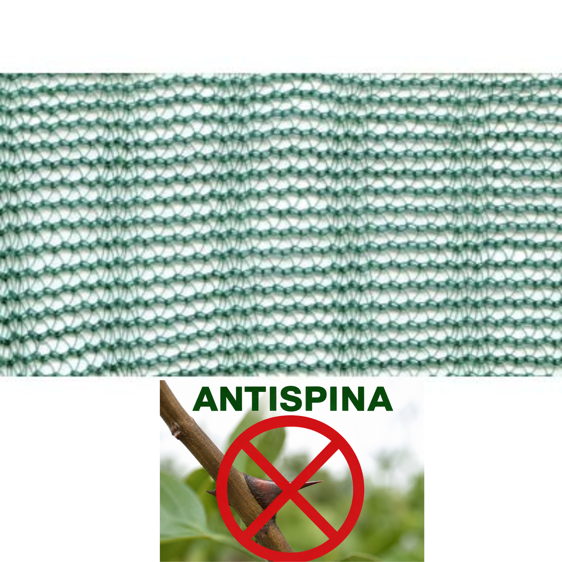 Rete raccolta olive antispina 8x50 m da 85 g/m² in HDPE vergine, con trama a nodo continuo, antisfilo e trattamento UV. Ideale per raccolta olive e frutta secca