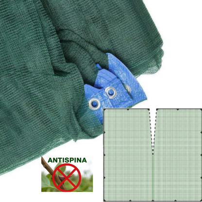 Rete olive 6x6 m antispina da 85 g/m² con spacco centrale. Modello Stars occhiellata, trattamento UV: robusta e resistente. Ideale per olive, noci e pistacchi. 